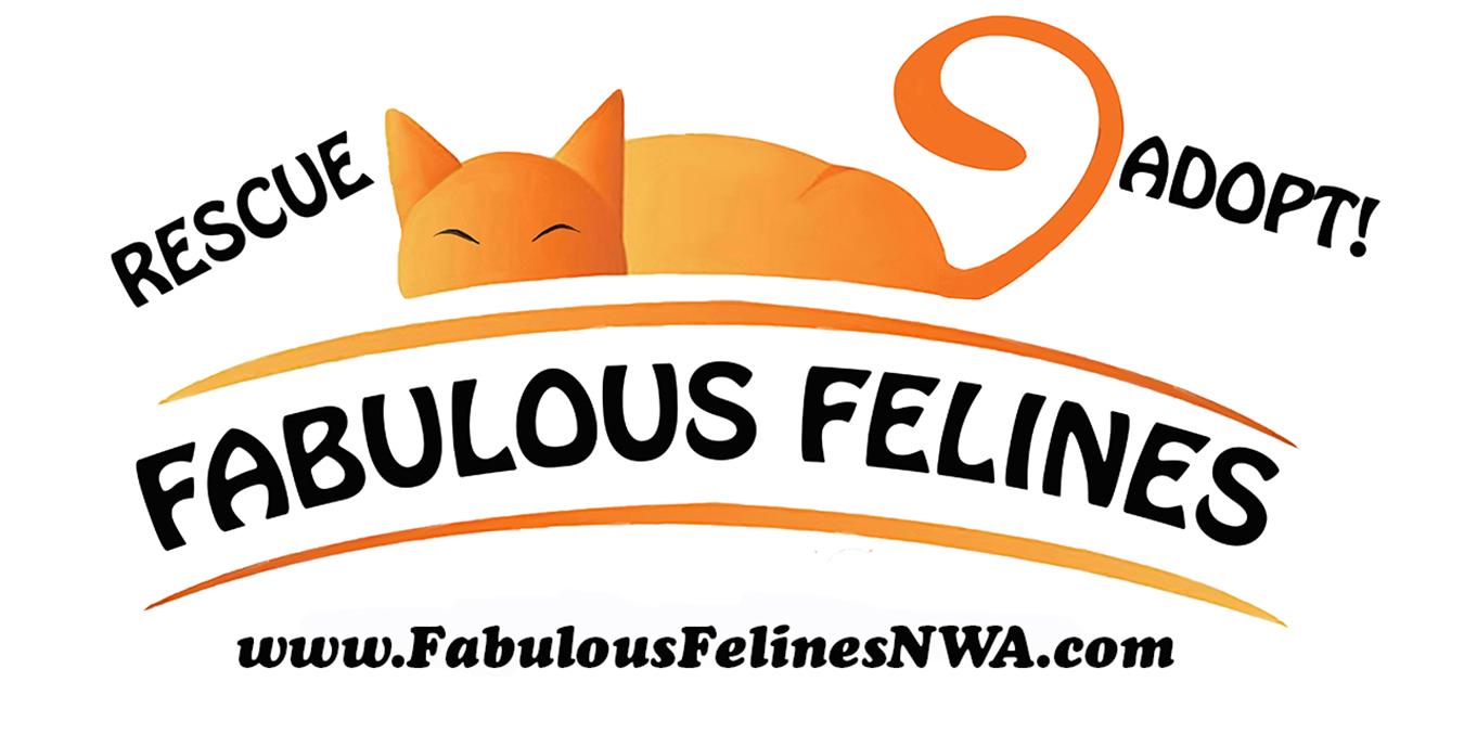 Fabulous Felines NWA