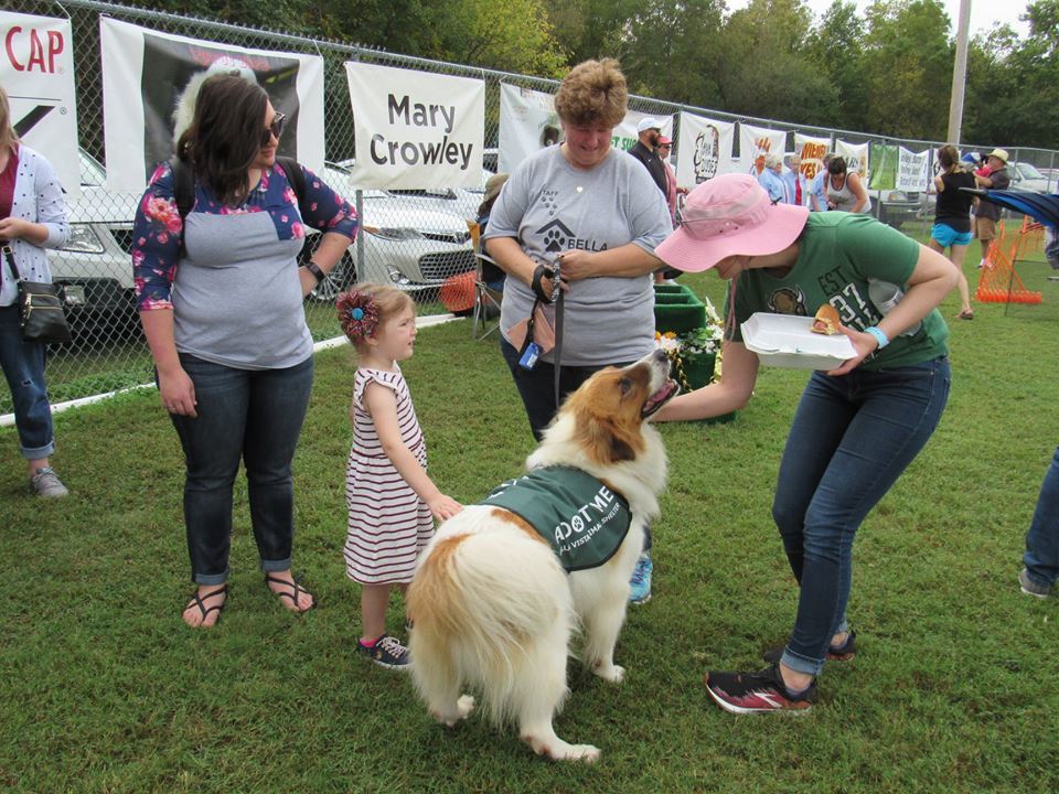 Pets for Adoption at Bella Vista Animal Shelter, in Bella Vista, AR Petfinder