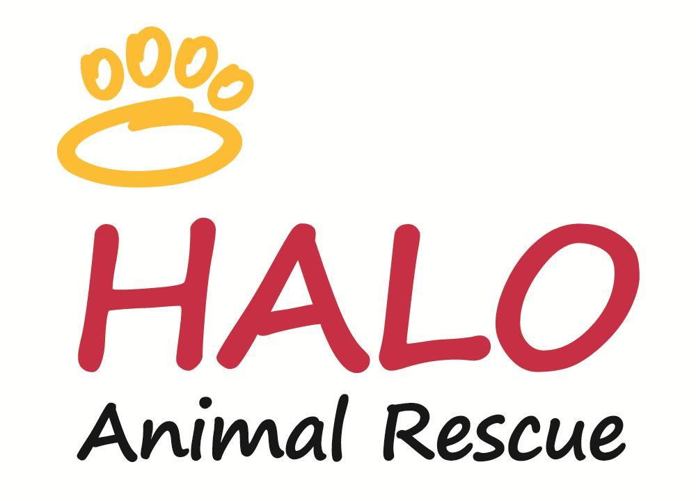 Pets for Adoption at HALO Animal Rescue 