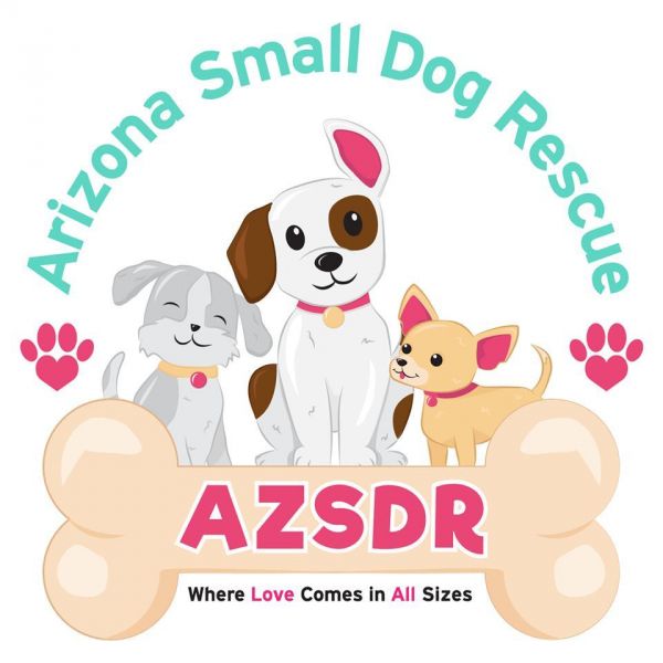 AZ Small Dog Rescue