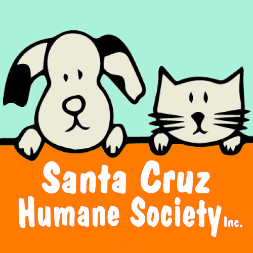 Pets for Adoption at Santa Cruz Humane Society in Nogales AZ