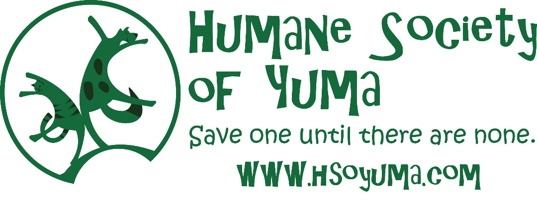 Humane society in yuma arizona cummins race engines