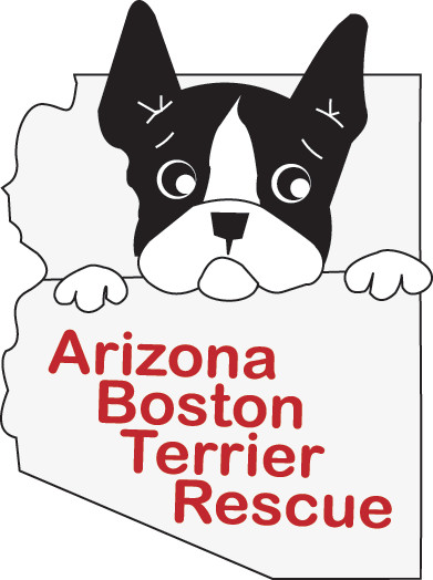 Arizona Boston Terrier Rescue