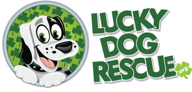 Lucky Dog Rescue