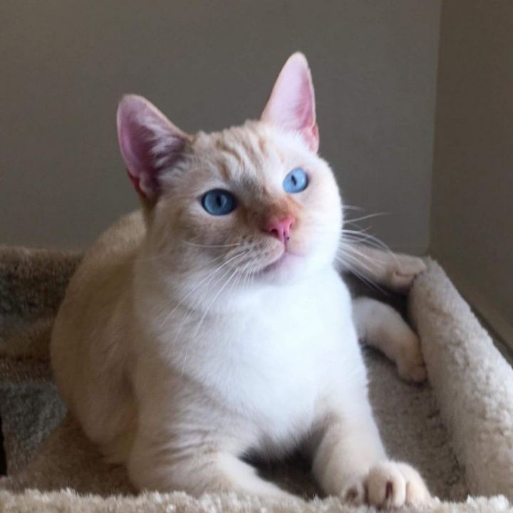 Kramer's gorgeous eyes