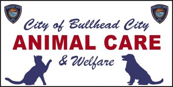 Bullhead City Animal Care & Welfare