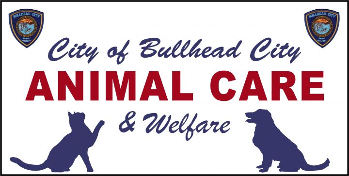 Bullhead City Animal Care & Welfare