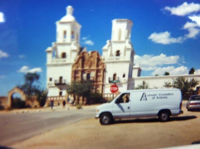 Pets For Adoption At Animals Crusaders In Tucson Az Petfinder