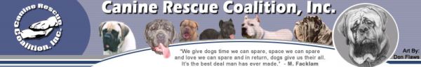 Canine Rescue Coalition (AZ Mastiff Rescue)