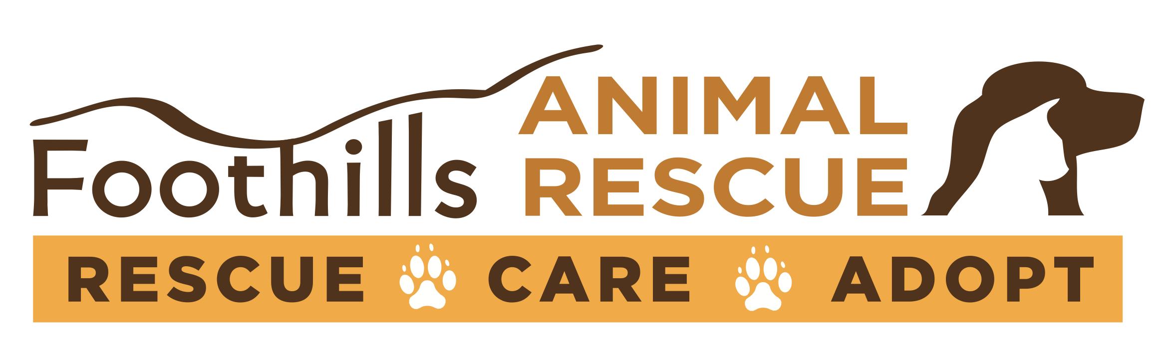 Pets for Adoption at Foothills Animal Rescue, in Scottsdale, AZ | Petfinder