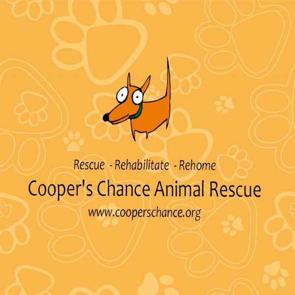 Cooper's Chance Animal Rescue