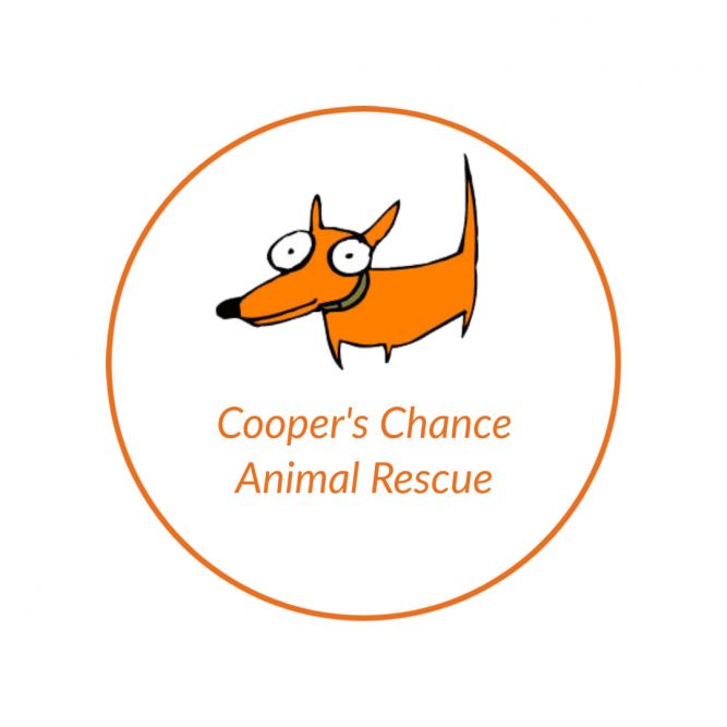 Cooper's Chance Animal Rescue
