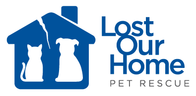 Lost our home cheap pet foundation