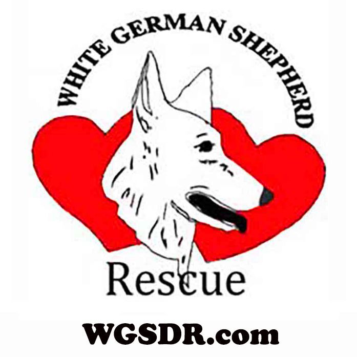 Southwest german hot sale shepherd rescue