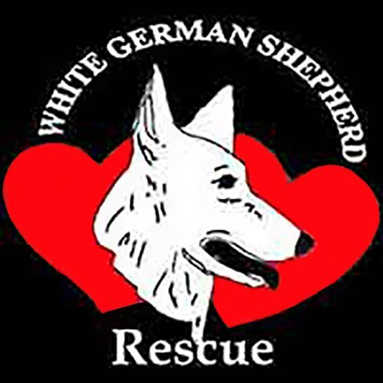 Pets For Adoption At White German Shepherd Rescue In Phoenix Az Petfinder