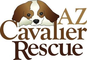 AZ Cavalier Rescue