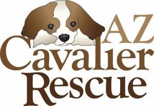AZ Cavalier Rescue