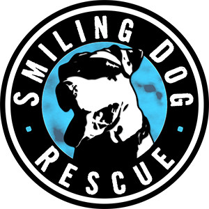 Pets for Adoption at Smiling Dog Rescue, in Tucson, AZ ...