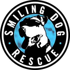 Smiling Dog Rescue