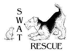 Airedale Terrier Rescue (Southwest US)