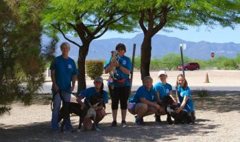 Amazing dog walkers!