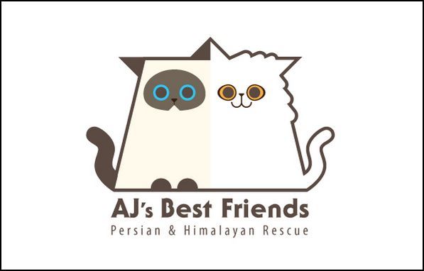 AJs Best Friends Persian & Himalayan Rescue