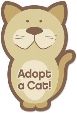 Pets for Adoption at TLC Pet Adoptions, in Langley, BC | Petfinder