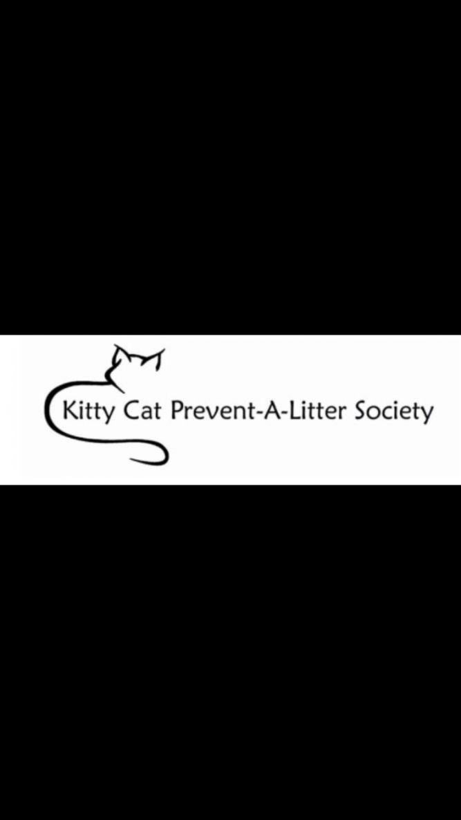 Kitty Cat PALS