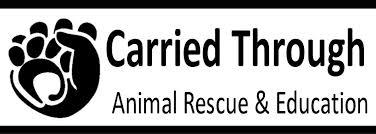 Carried Through Animal Rescue and Education