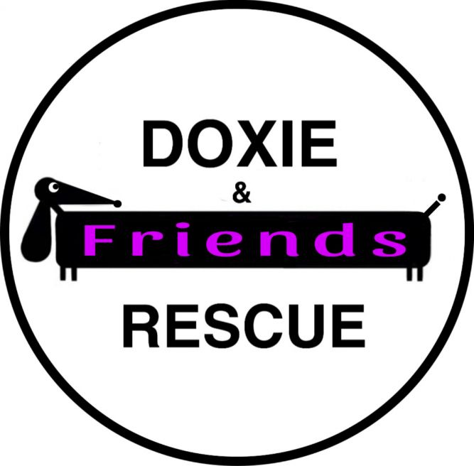 Doxie & Friends Rescue