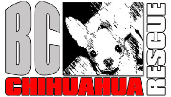 BC Chihuahua Rescue