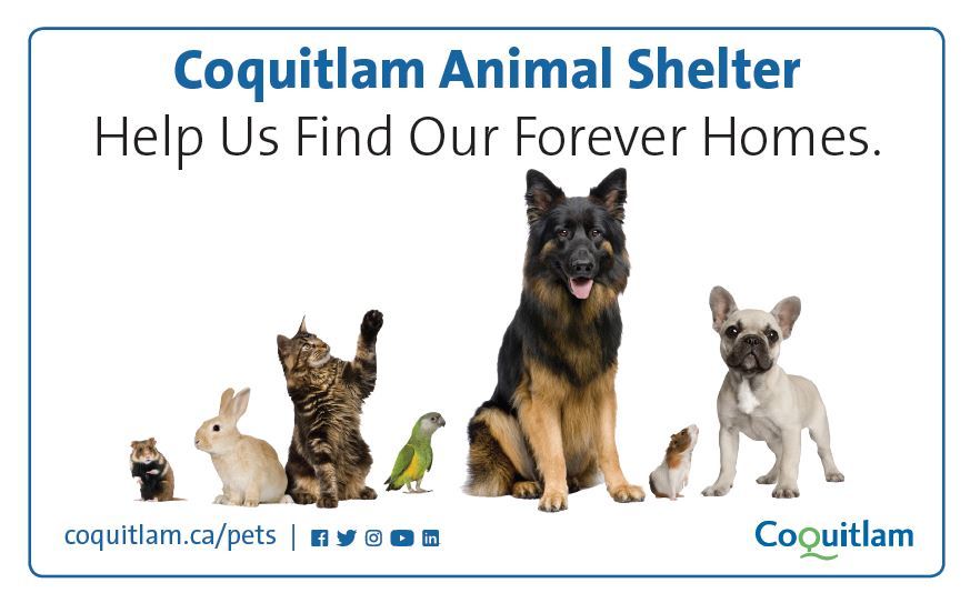 City of Coquitlam Animal Shelter