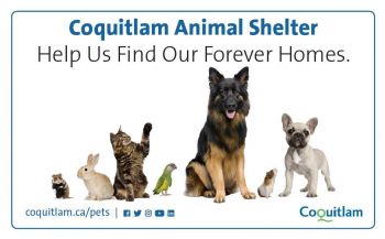 Coquitlam Animal Shelter