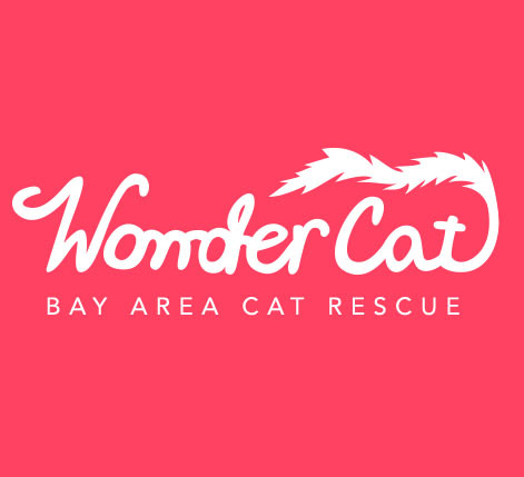 Wonder Cat Rescue