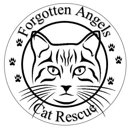 Forgotten Angels Cat Rescue Inc.