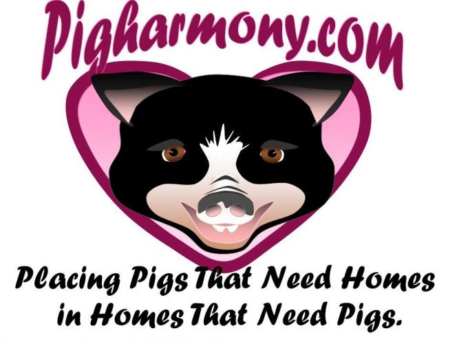 PigHarmony