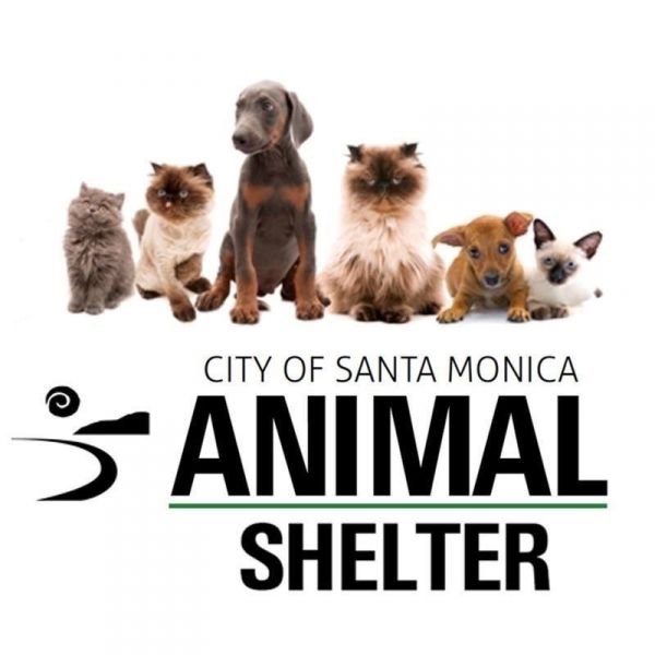 Santa Monica Animal Shelter