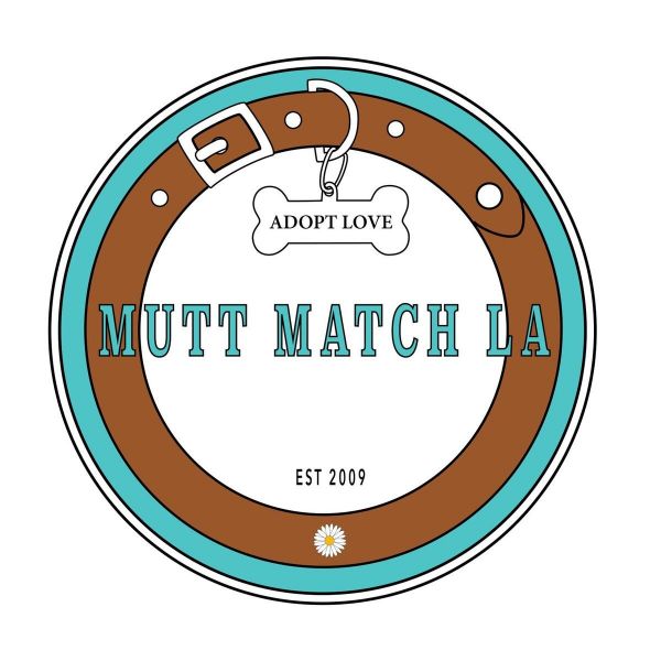Mutt Match LA