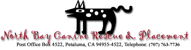 North Bay Canine Rescue & Placement