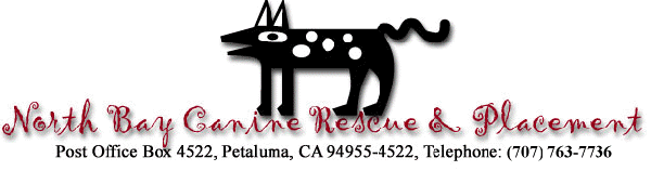 North Bay Canine Rescue & Placement