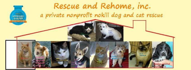 Rescue and Rehome, Inc.