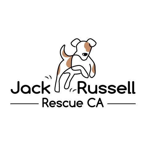 Jack Russell Rescue CA
