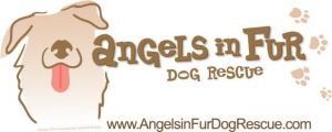Angels in Fur Dog Rescue