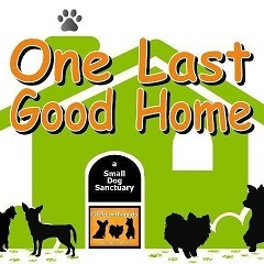 One Last Good Home Dog Sanctuary & Hospice