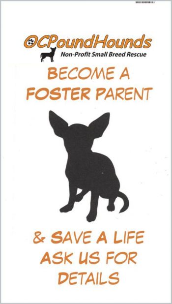 Fostering Saves Lives