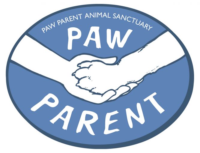 Paw Parent