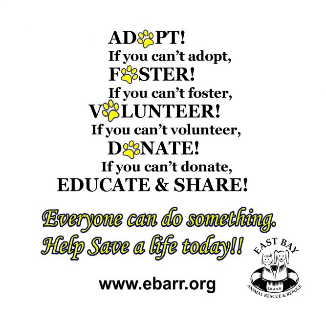 East Bay Animal Rescue & Refuge (EBARR)