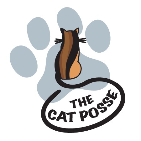 The Cat Posse