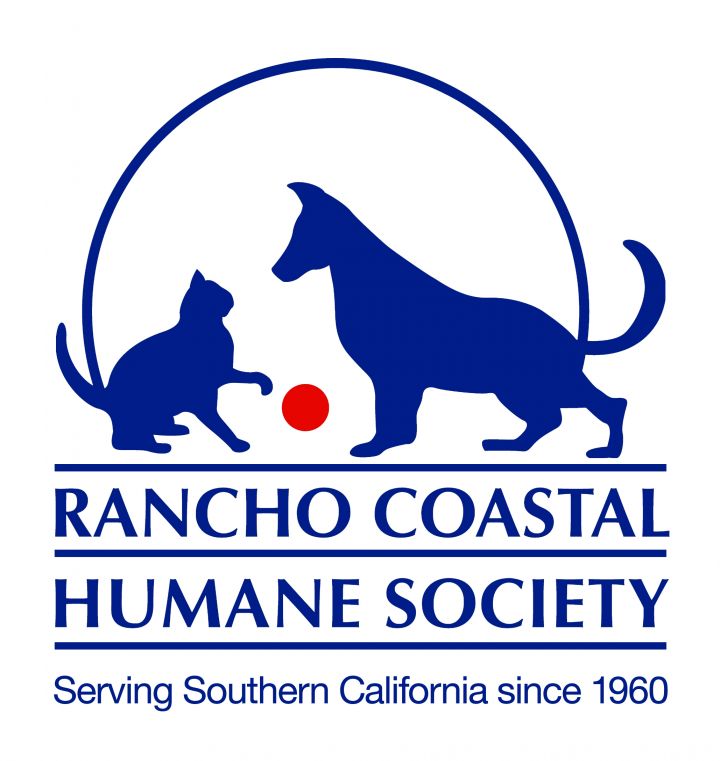 Rancho coastal humane society adoptable sale dogs