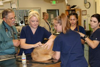 Students learn to give an intramuscular injection